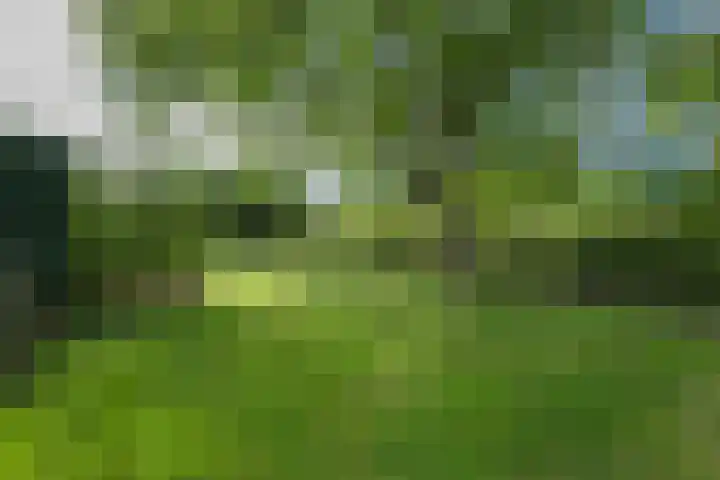 Jeudestraat 55 Zoelen thumbnail 46