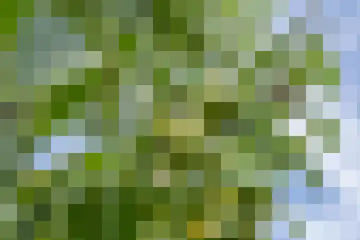 Jeudestraat 55 Zoelen thumbnail 47