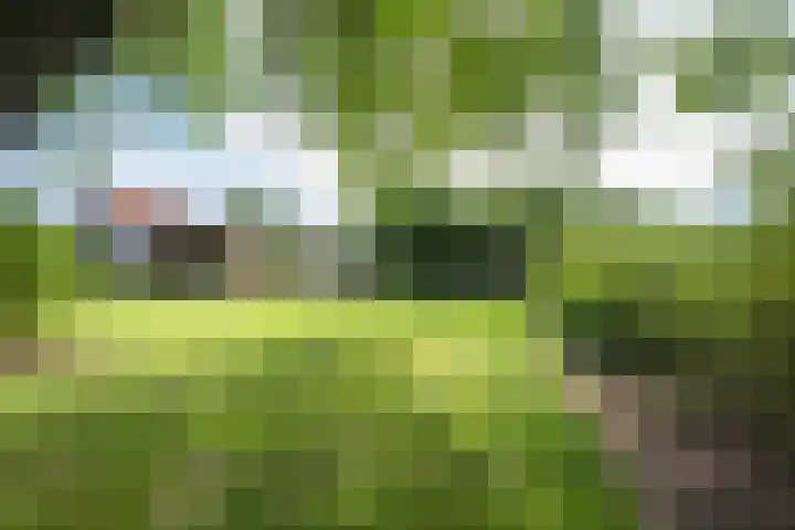 Jeudestraat 55 Zoelen thumbnail 48