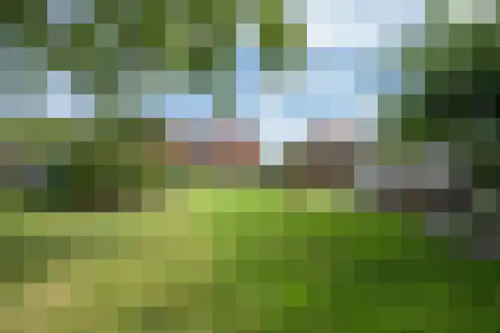 Jeudestraat 55 Zoelen thumbnail 49