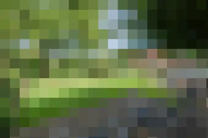 Jeudestraat 55 Zoelen thumbnail 50