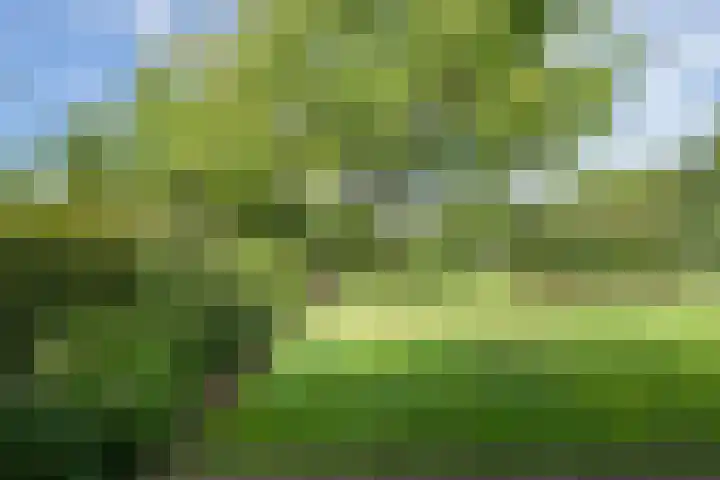 Jeudestraat 55 Zoelen thumbnail 51