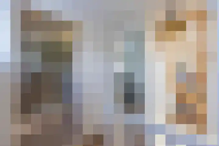 Jeudestraat 55 Zoelen thumbnail 52