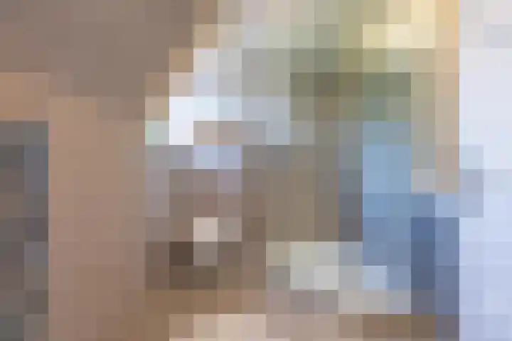 Jeudestraat 55 Zoelen thumbnail 56
