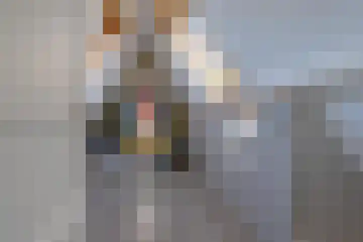 Jeudestraat 55 Zoelen thumbnail 61