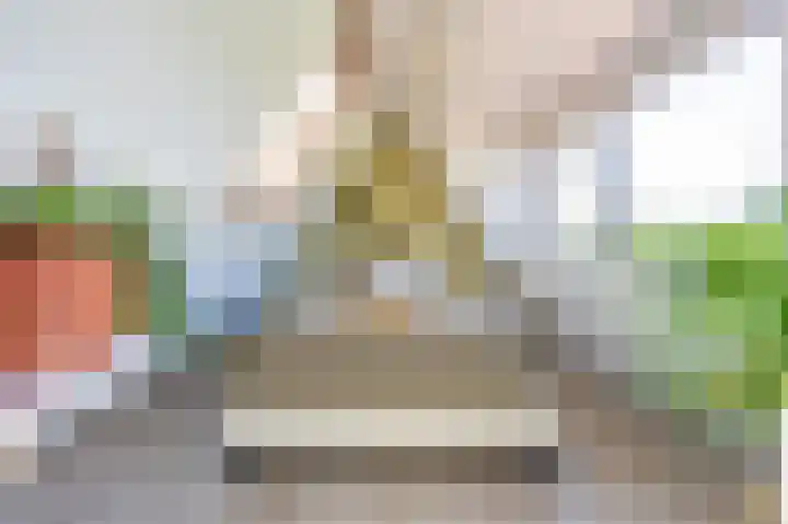 Jeudestraat 55 Zoelen thumbnail 62