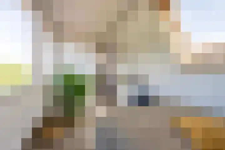 Jeudestraat 55 Zoelen thumbnail 63