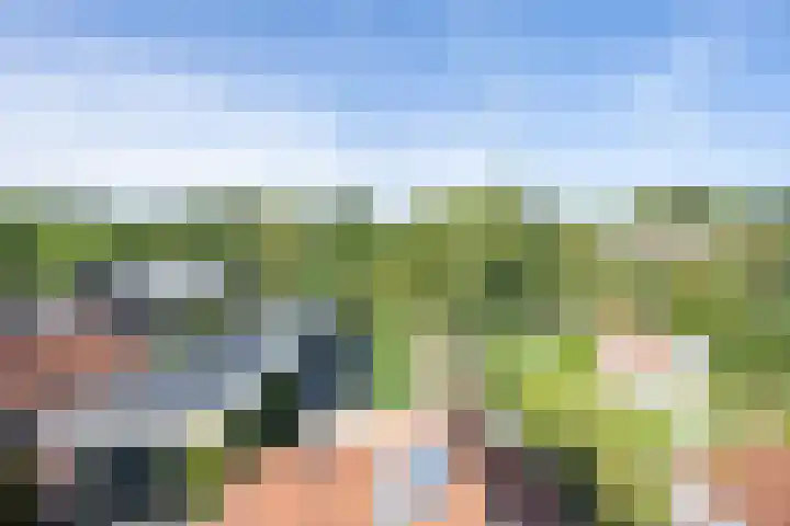 Jeudestraat 55 Zoelen thumbnail 64