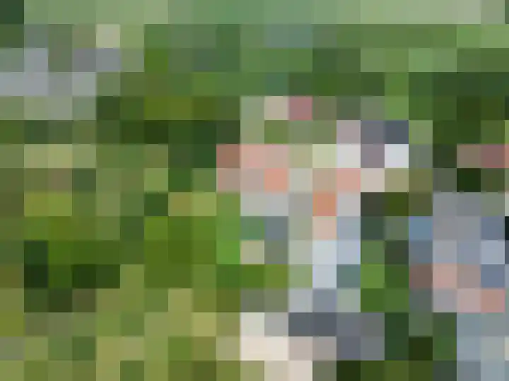 Jeudestraat 55 Zoelen thumbnail 66