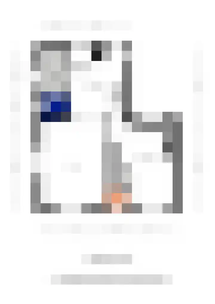 Jeudestraat 55 Zoelen thumbnail 67
