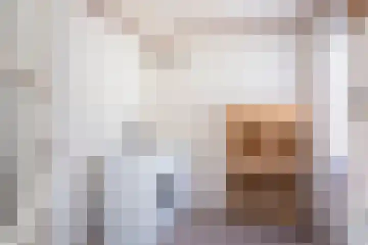Jeudestraat 61 Zoelen thumbnail 12
