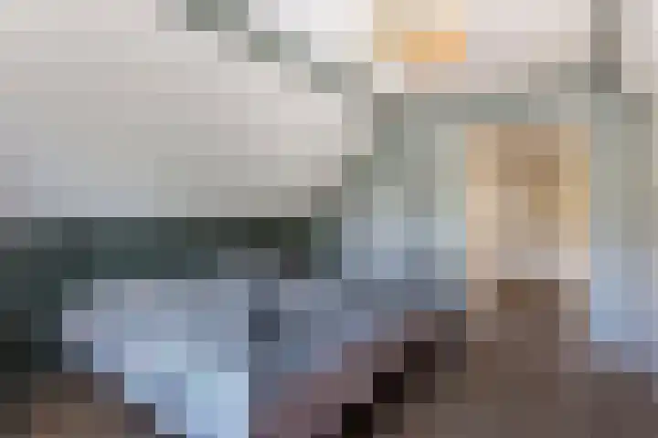 Jeudestraat 61 Zoelen thumbnail 15