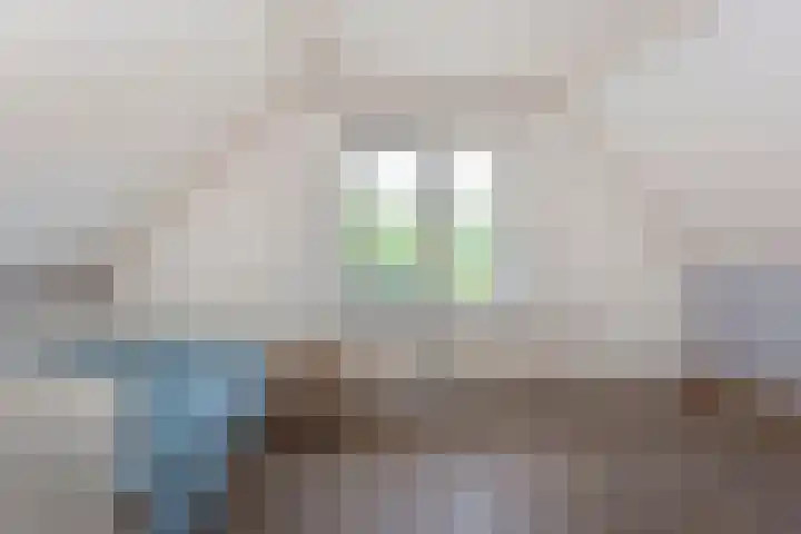 Jeudestraat 61 Zoelen thumbnail 16