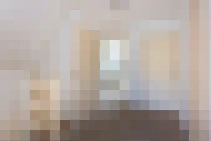 Jeudestraat 61 Zoelen thumbnail 18