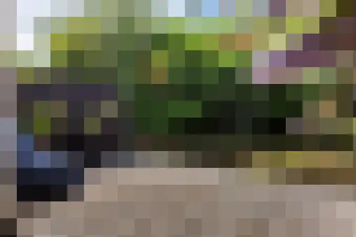 Jeudestraat 61 Zoelen thumbnail 20