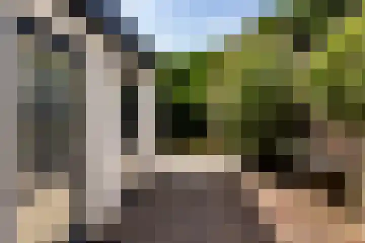 Jeudestraat 61 Zoelen thumbnail 21