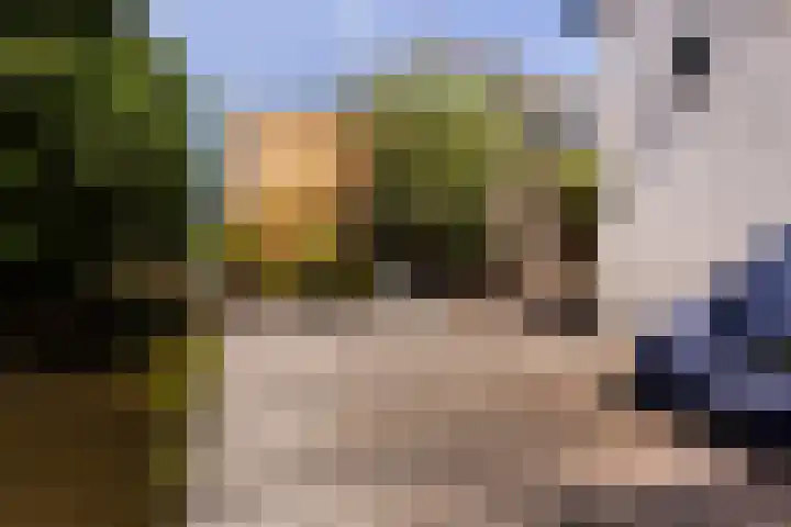 Jeudestraat 61 Zoelen thumbnail 22