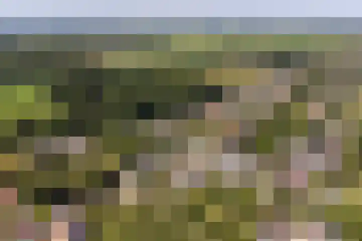 Jeudestraat 61 Zoelen thumbnail 24