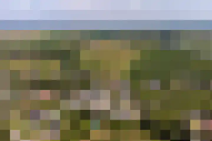 Jeudestraat 61 Zoelen thumbnail 25