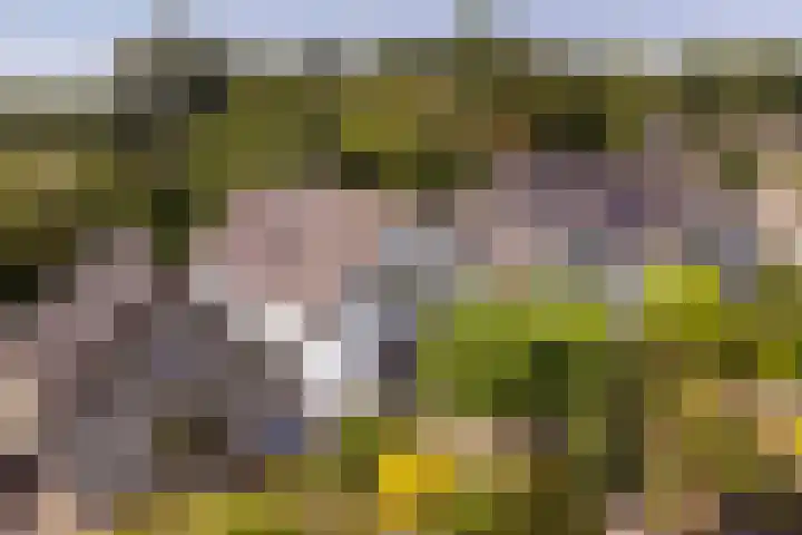 Jeudestraat 61 Zoelen thumbnail 26