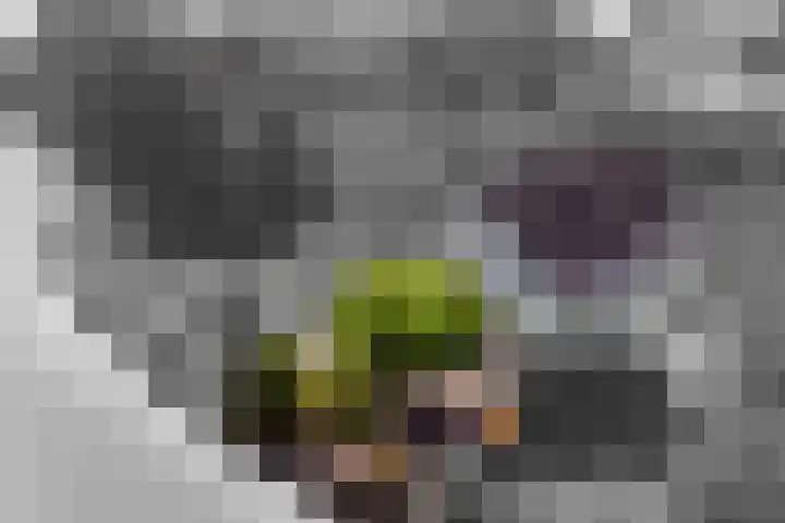 Jeudestraat 61 Zoelen thumbnail 27