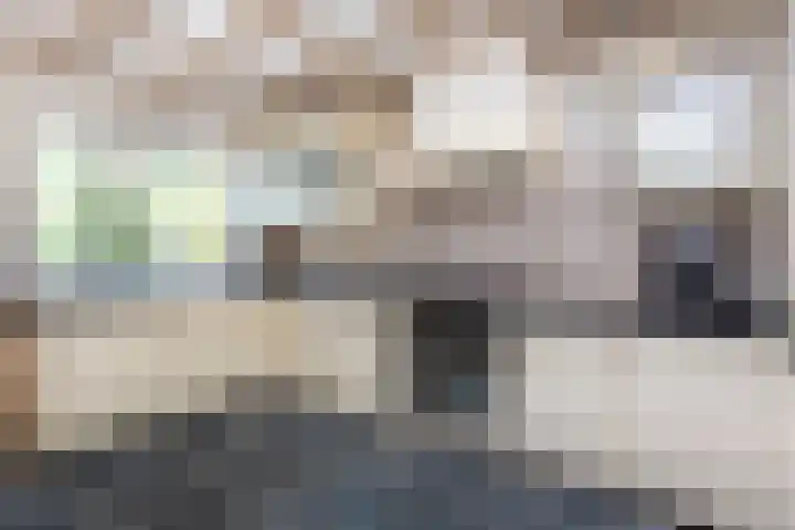 Jeudestraat 61 Zoelen thumbnail 6