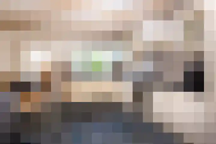Jeudestraat 61 Zoelen thumbnail 7