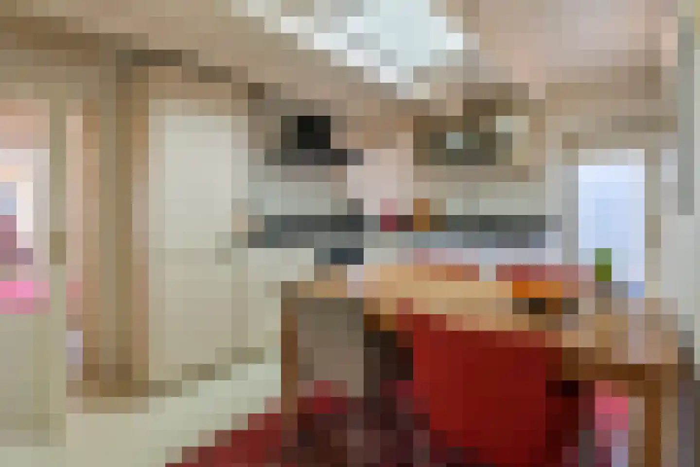 Jeudestraat 63 Zoelen thumbnail 10