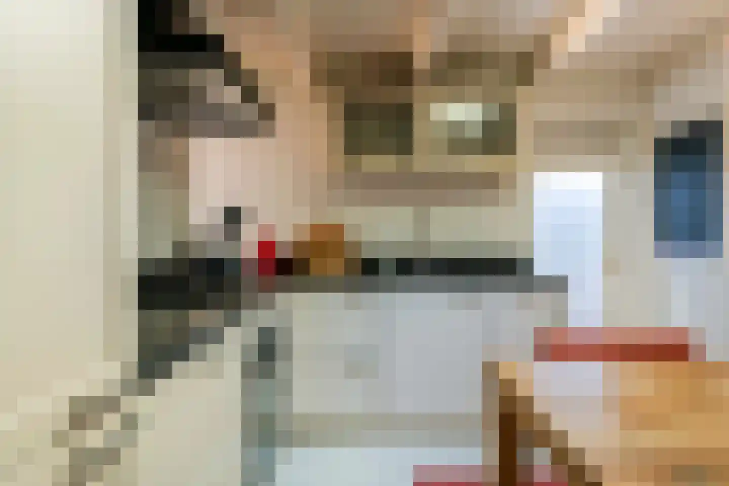 Jeudestraat 63 Zoelen thumbnail 13