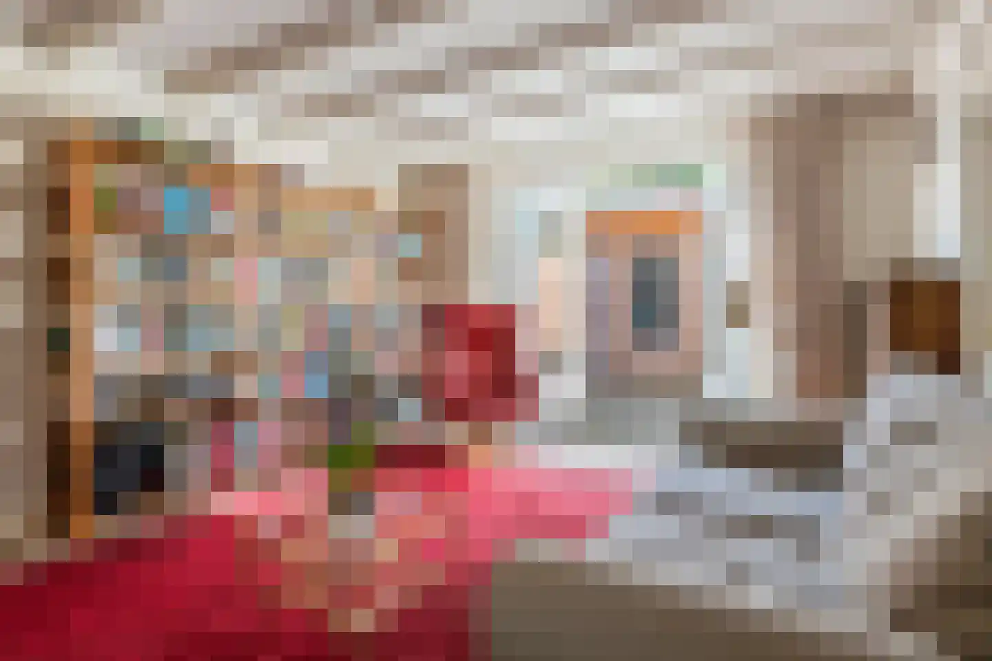 Jeudestraat 63 Zoelen thumbnail 17