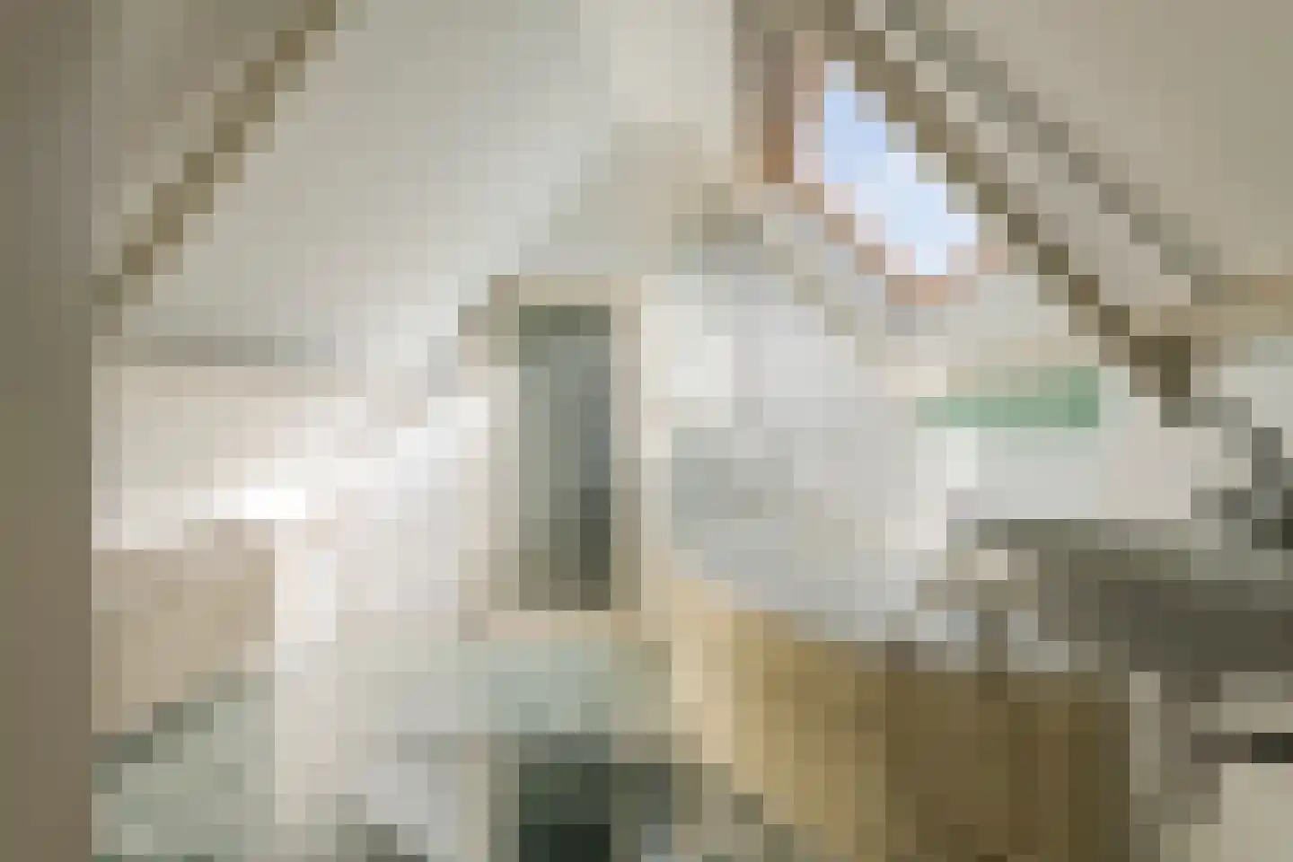 Jeudestraat 63 Zoelen thumbnail 32