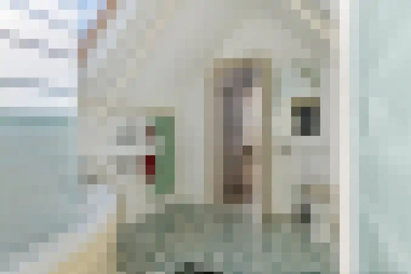 Jeudestraat 63 Zoelen thumbnail 33