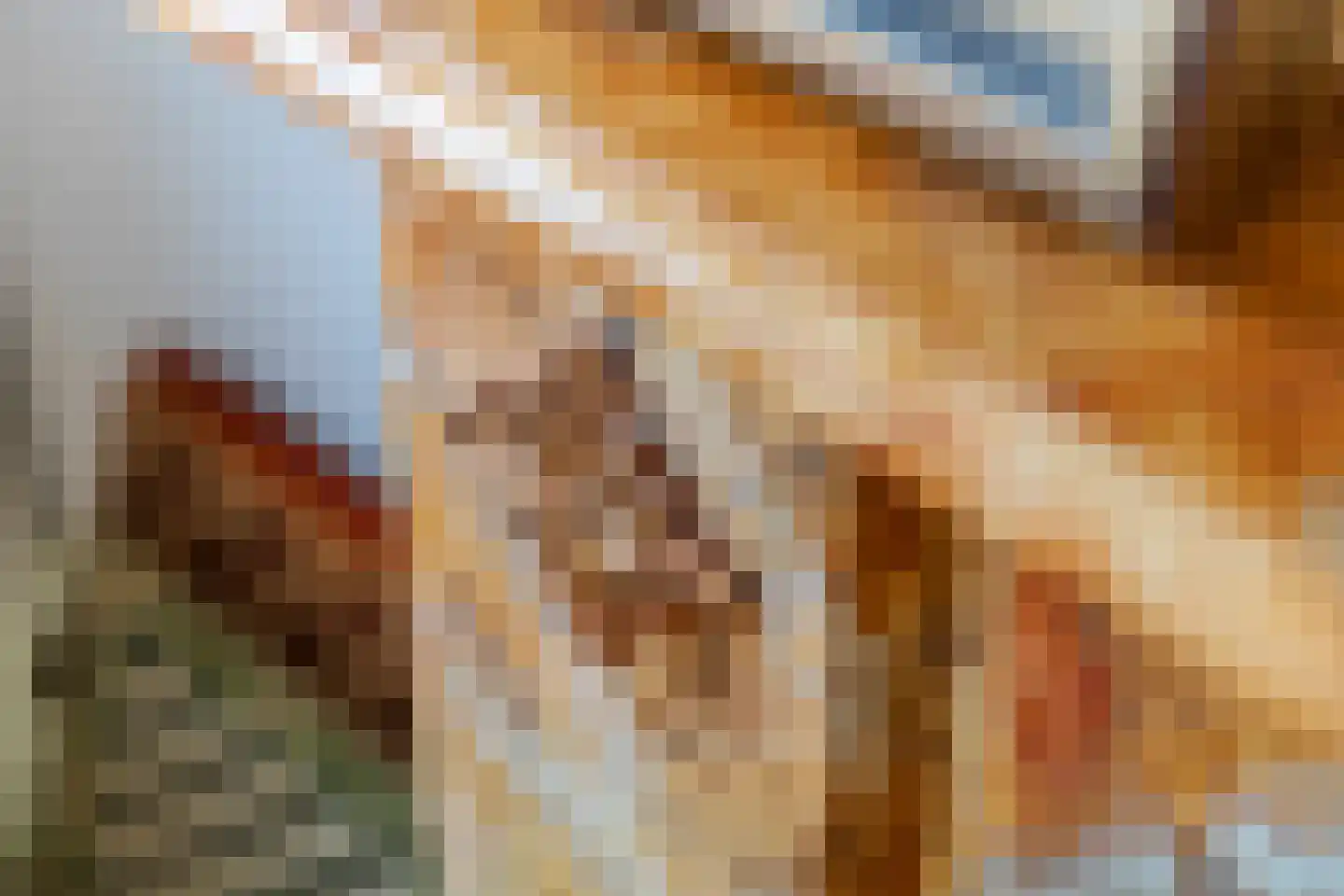 Jeudestraat 63 Zoelen thumbnail 6