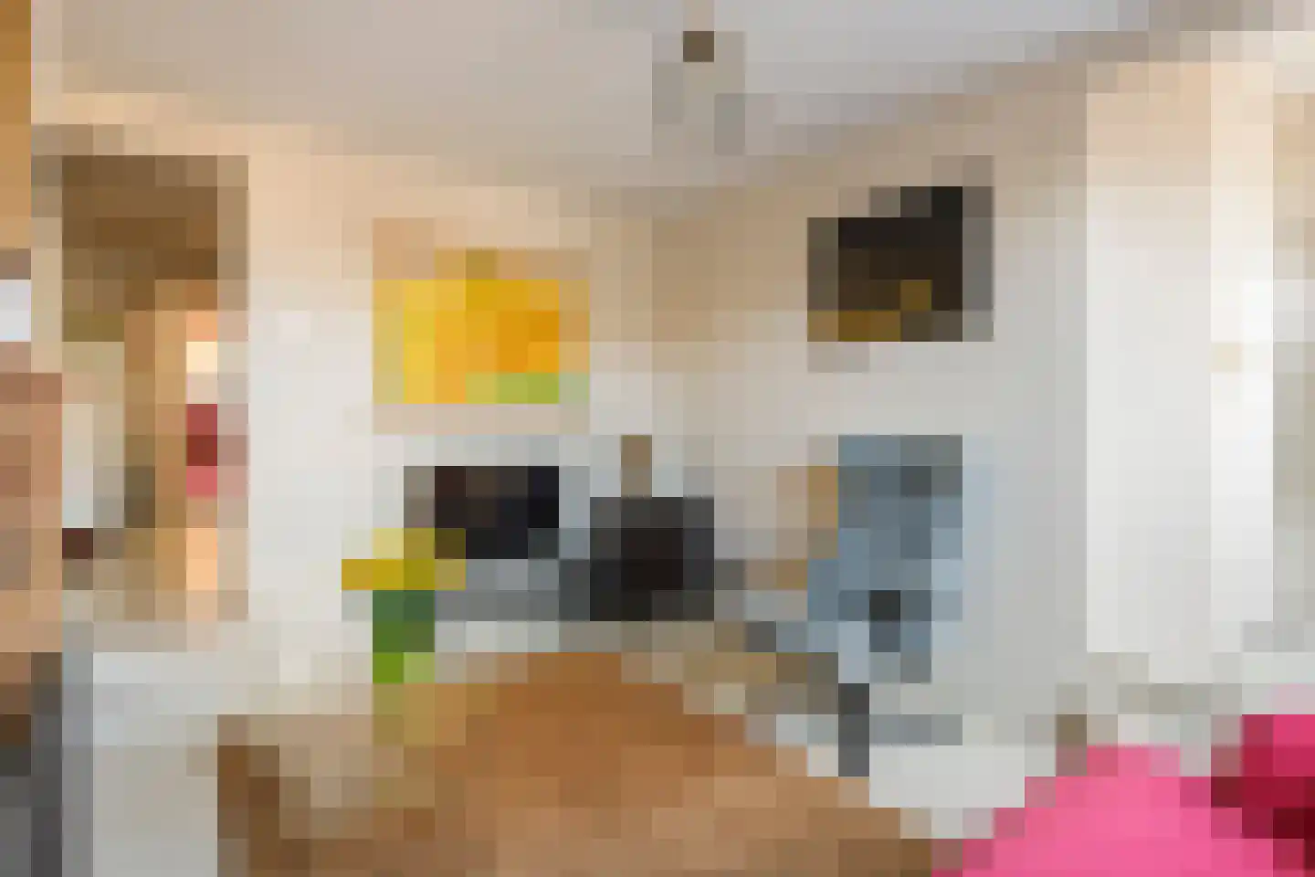 Jeudestraat 63 Zoelen thumbnail 9