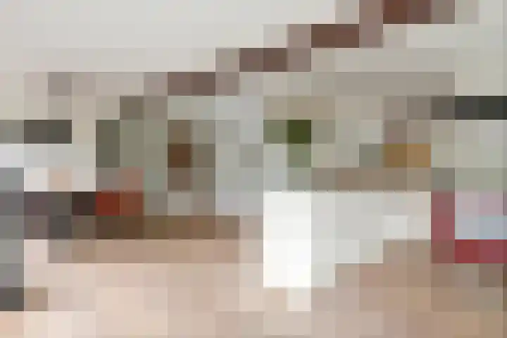 Jeudestraat 79 Zoelen thumbnail 10
