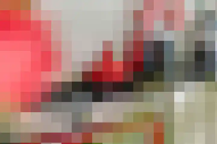 Jeudestraat 79 Zoelen thumbnail 12