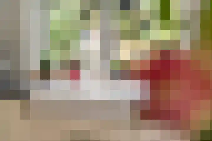 Jeudestraat 79 Zoelen thumbnail 14