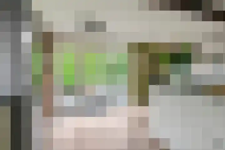 Jeudestraat 79 Zoelen thumbnail 15