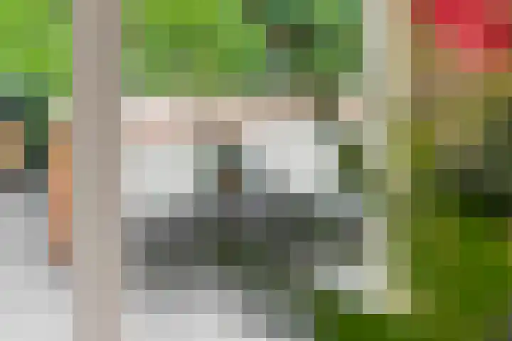 Jeudestraat 79 Zoelen thumbnail 16
