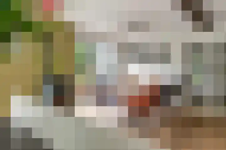 Jeudestraat 79 Zoelen thumbnail 17