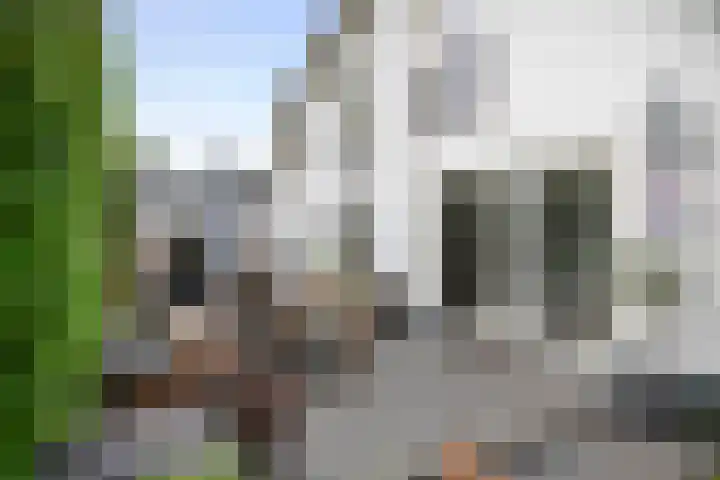 Jeudestraat 79 Zoelen thumbnail 18