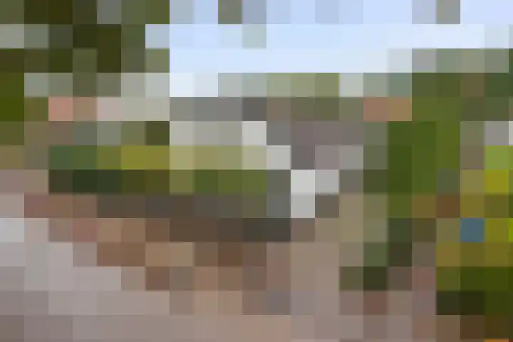 Jeudestraat 79 Zoelen thumbnail 19