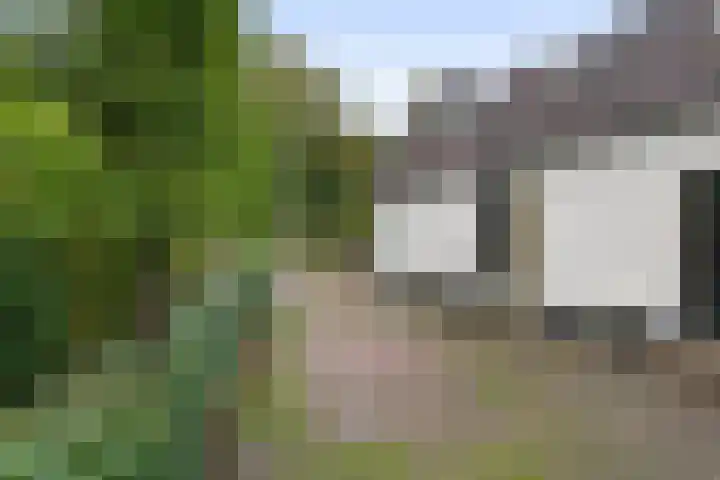 Jeudestraat 79 Zoelen thumbnail 20