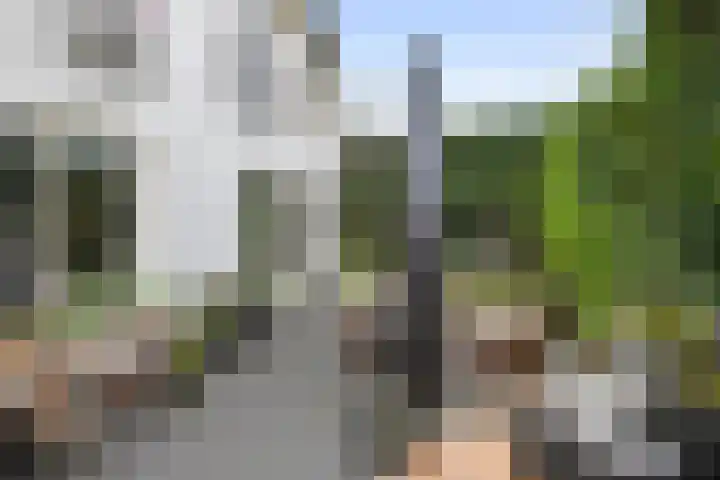 Jeudestraat 79 Zoelen thumbnail 22
