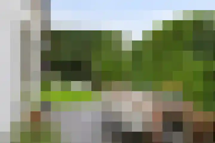Jeudestraat 79 Zoelen thumbnail 23
