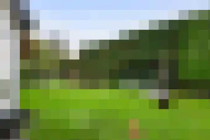 Jeudestraat 79 Zoelen thumbnail 24