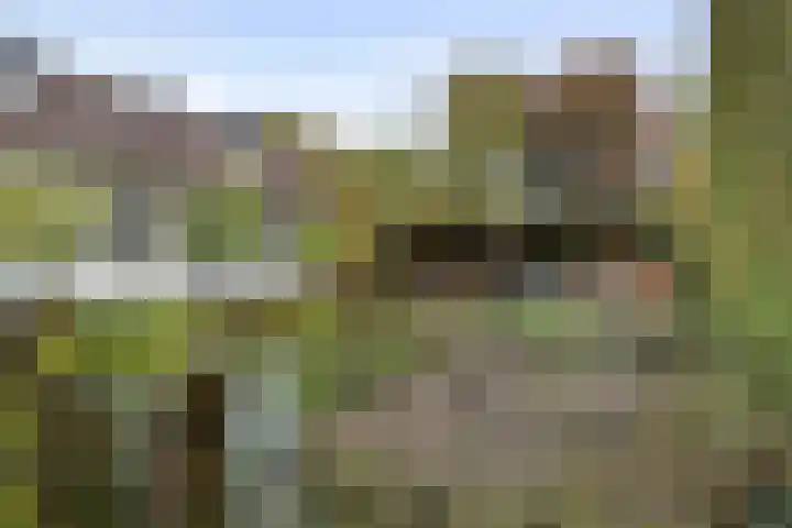 Jeudestraat 79 Zoelen thumbnail 25