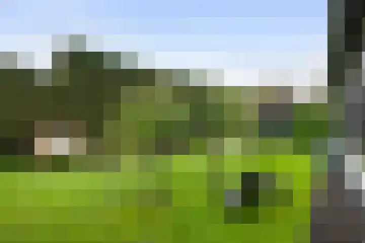 Jeudestraat 79 Zoelen thumbnail 26