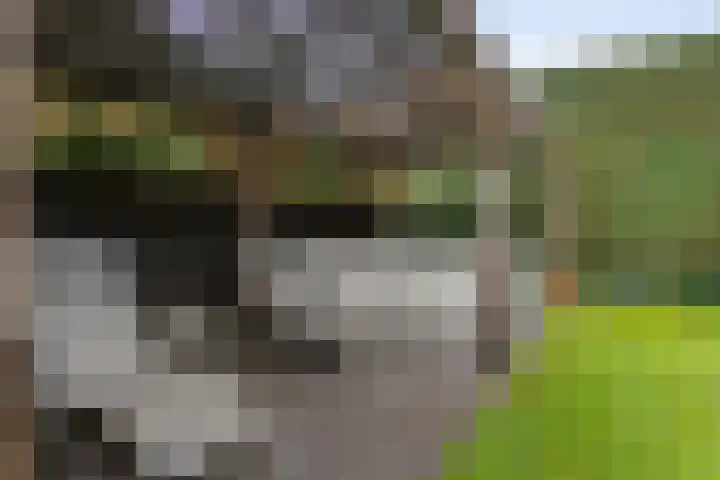 Jeudestraat 79 Zoelen thumbnail 27