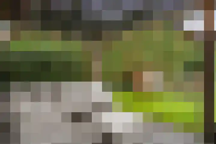 Jeudestraat 79 Zoelen thumbnail 28